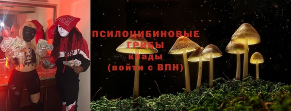 прущие грибы Кулебаки