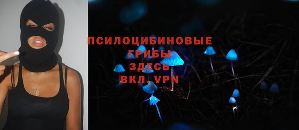 прущие грибы Кулебаки