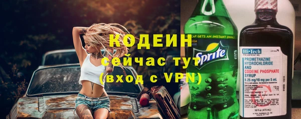 прущие грибы Кулебаки
