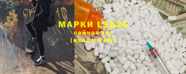 прущие грибы Кулебаки
