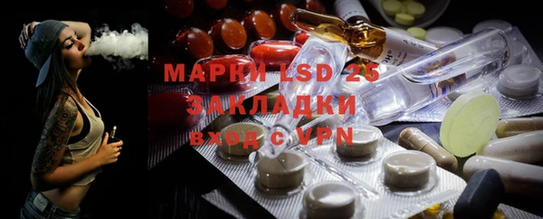 прущие грибы Кулебаки