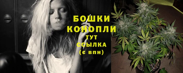 прущие грибы Кулебаки