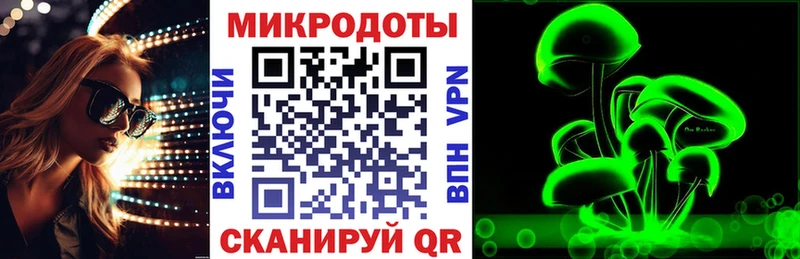 Купить где  Кочубеевское  Псилоцибиновые грибы MAGIC MUSHROOMS 